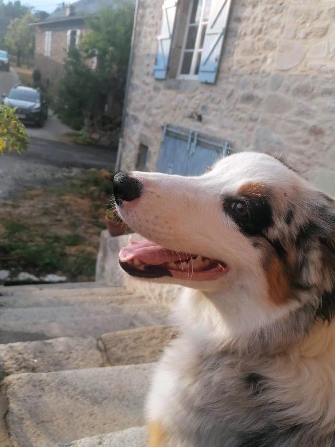 Le Temps Serein Vabre-Tizac Exterior foto